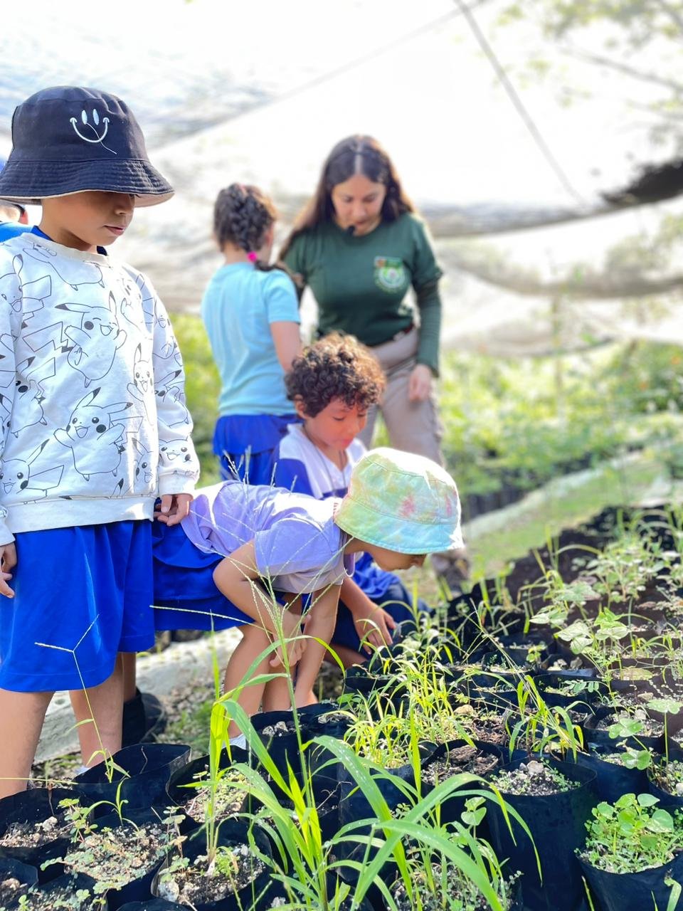 Imagen de WhatsApp 2025-07-19 a las 05.13.48_464dd929